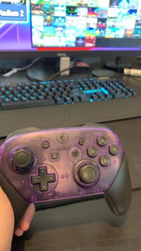 Modded Switch Pro Controller Build - Smash Ultimate photo review