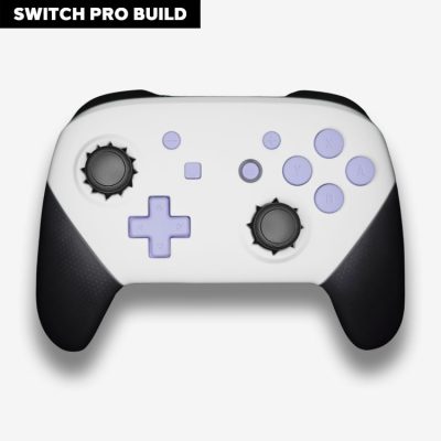 Modded Switch Pro Controller