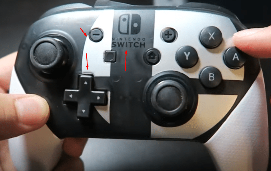 fake xenoblade pro controller