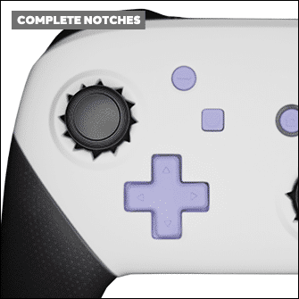 Complete Notches Switch Pro Controller